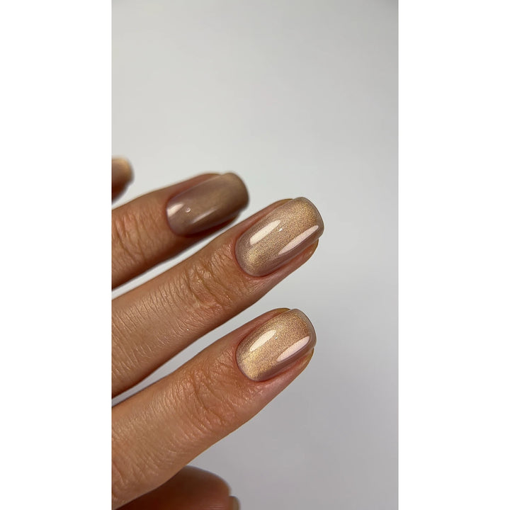 Dark Гель-лак Cat Eye 14, 6 мл