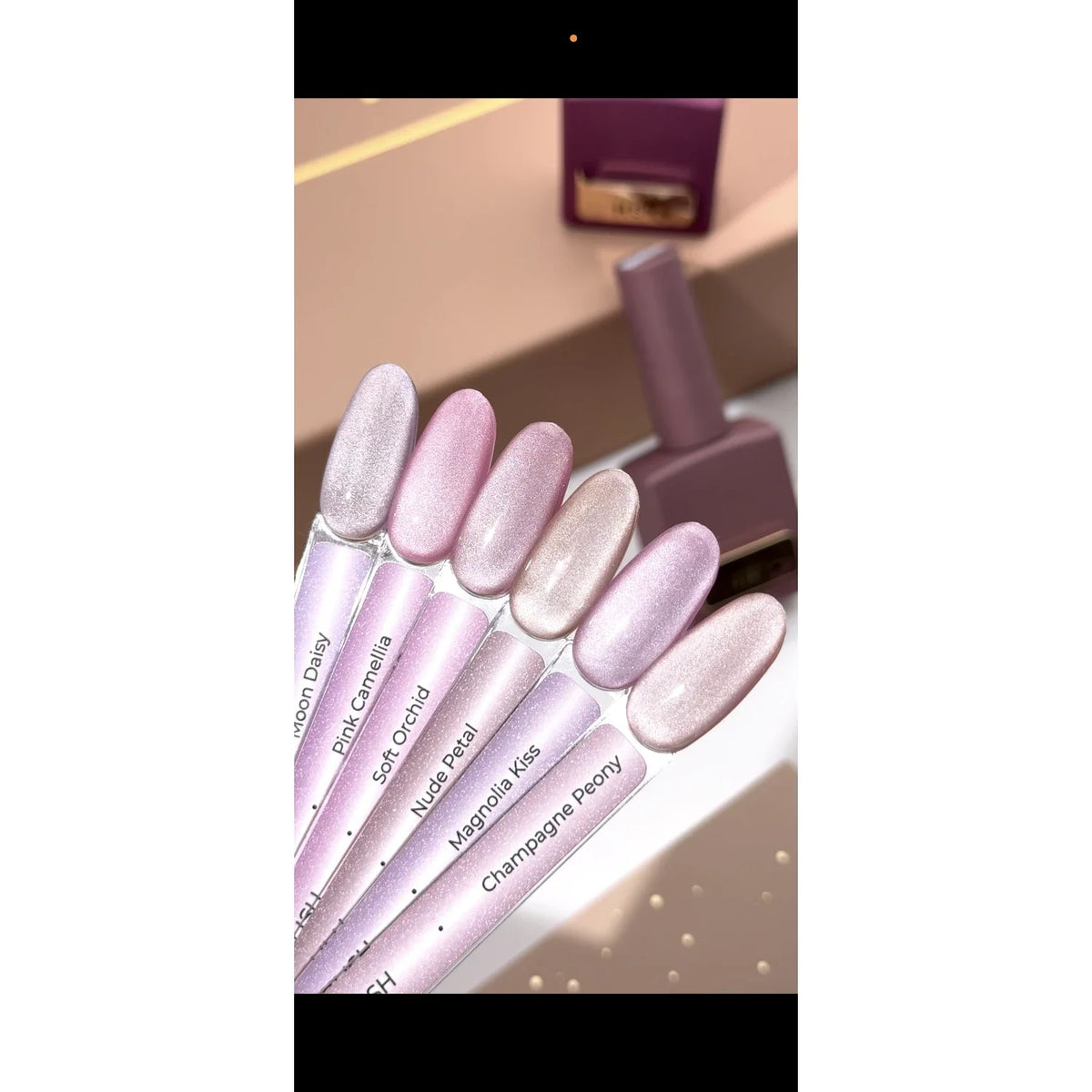 HEYLOVE Cat Eye gel lak kolekce PETAL VEIL – produktová fotka